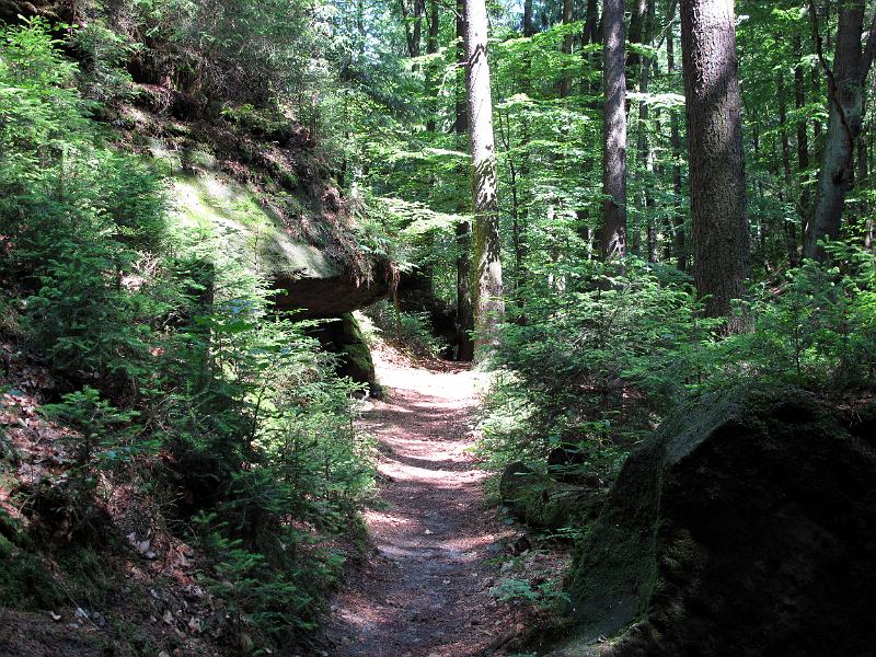 2010-06-12, Uttewalder Grund (13).jpg